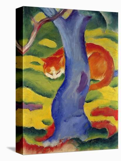 Cat Behind a Tree, 1910/11-Franz Marc-Stretched Canvas