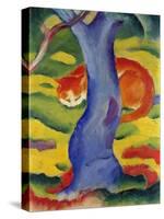 Cat Behind a Tree, 1910/11-Franz Marc-Stretched Canvas