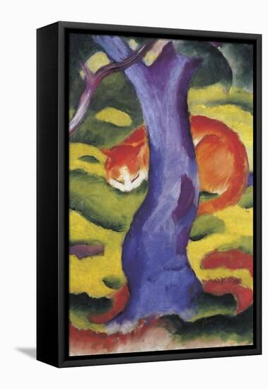 Cat Behind Tree-Franz Poledne-Framed Stretched Canvas