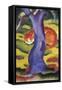 Cat Behind Tree-Franz Poledne-Framed Stretched Canvas