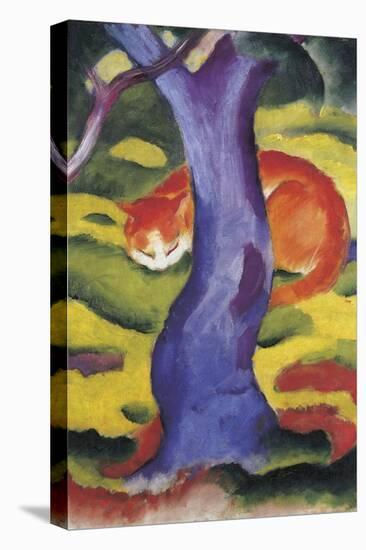 Cat Behind Tree-Franz Poledne-Stretched Canvas