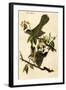 Cat Bird-John James Audubon-Framed Art Print