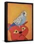 Cat Bird-Jennie Cooley-Framed Stretched Canvas