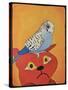 Cat Bird-Jennie Cooley-Stretched Canvas