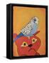 Cat Bird-Jennie Cooley-Framed Stretched Canvas