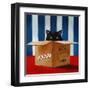 Cat Burglar-Lucia Heffernan-Framed Art Print