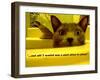 Cat capers #2-Ruth Palmer Digital-Framed Art Print