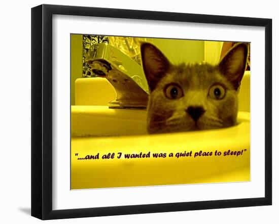 Cat capers #2-Ruth Palmer Digital-Framed Art Print