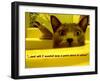 Cat capers #2-Ruth Palmer Digital-Framed Art Print