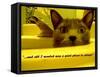 Cat capers #2-Ruth Palmer Digital-Framed Stretched Canvas