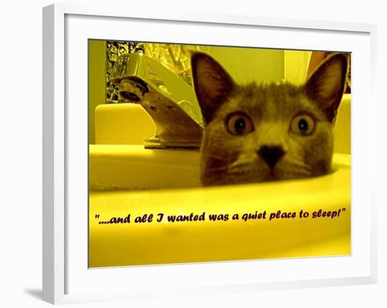 Cat capers #2-Ruth Palmer Digital-Framed Art Print