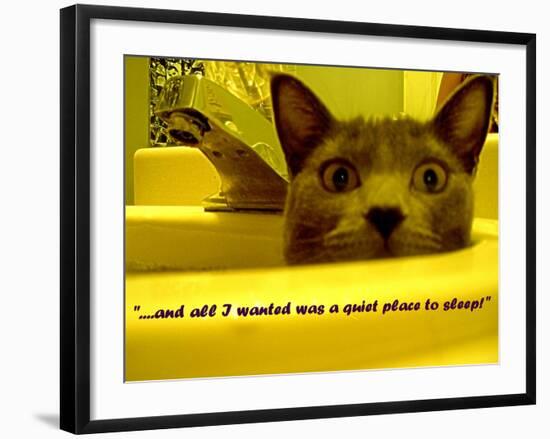 Cat capers #2-Ruth Palmer Digital-Framed Art Print