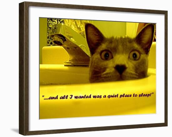 Cat capers #2-Ruth Palmer Digital-Framed Art Print