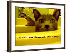 Cat capers #2-Ruth Palmer Digital-Framed Art Print