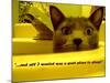 Cat capers #2-Ruth Palmer Digital-Mounted Art Print