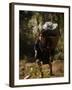 Cat Cat Village Hiking Trail, Sapa, Northern Vietnam, Southeast Asia-Christian Kober-Framed Photographic Print