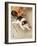Cat Catching Mouse-Koson Ohara-Framed Giclee Print