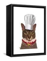 Cat Chef-Fab Funky-Framed Stretched Canvas