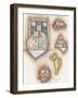 Cat Collage-Debbie McMaster-Framed Giclee Print