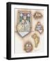 Cat Collage-Debbie McMaster-Framed Giclee Print