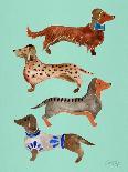 Blue Dachshunds-Cat Coquillette-Art Print