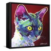 Cat - Devon Rex-Dawgart-Framed Stretched Canvas