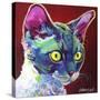 Cat - Devon Rex-Dawgart-Stretched Canvas
