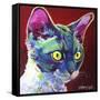 Cat - Devon Rex-Dawgart-Framed Stretched Canvas