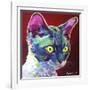 Cat - Devon Rex-Dawgart-Framed Giclee Print