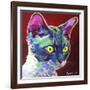 Cat - Devon Rex-Dawgart-Framed Giclee Print