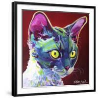 Cat - Devon Rex-Dawgart-Framed Giclee Print