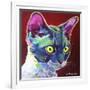 Cat - Devon Rex-Dawgart-Framed Giclee Print