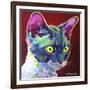 Cat - Devon Rex-Dawgart-Framed Giclee Print