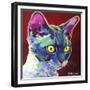 Cat - Devon Rex-Dawgart-Framed Giclee Print