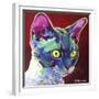 Cat - Devon Rex-Dawgart-Framed Giclee Print