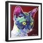 Cat - Devon Rex-Dawgart-Framed Giclee Print