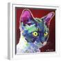 Cat - Devon Rex-Dawgart-Framed Giclee Print