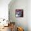 Cat - Devon Rex-Dawgart-Framed Stretched Canvas displayed on a wall
