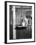 Cat Drinking Milk-null-Framed Photographic Print