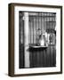 Cat Drinking Milk-null-Framed Photographic Print