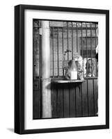 Cat Drinking Milk-null-Framed Photographic Print