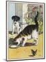 Cat Drinks a Saucer of Milk at a Doorstep Whilst Watched by a Dog-W. Foster-Mounted Art Print
