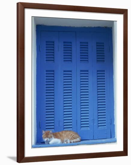 Cat Enjoying a Nap, Athens, Greece, Europe-Thouvenin Guy-Framed Photographic Print