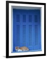 Cat Enjoying a Nap, Athens, Greece, Europe-Thouvenin Guy-Framed Photographic Print