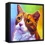 Cat - Ernie-Dawgart-Framed Stretched Canvas