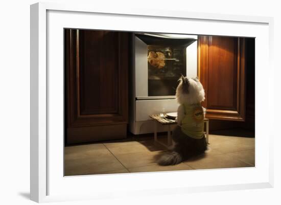 Cat Expects Cooking Chicken-kuban_girl-Framed Photographic Print