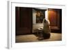 Cat Expects Cooking Chicken-kuban_girl-Framed Photographic Print