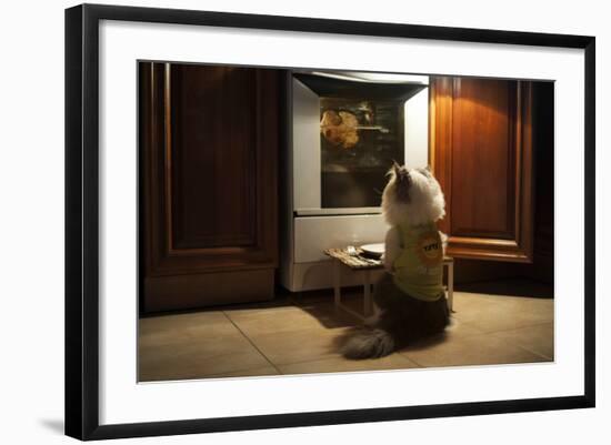 Cat Expects Cooking Chicken-kuban_girl-Framed Photographic Print