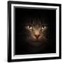 Cat Face With Beautiful Eyes Close Up Portrait-Michal Bednarek-Framed Photographic Print