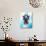 Cat Fairy:  My Three Kitties-Jasmine Becket-Griffith-Art Print displayed on a wall